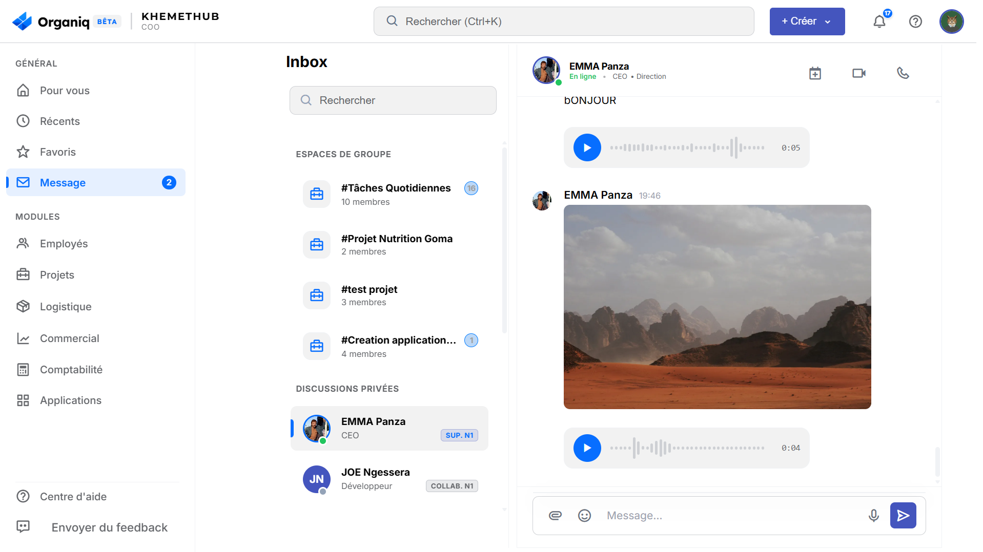 ORGANIQ Chat